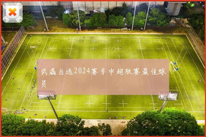 武磊当选2024赛季中超联赛最佳球员
