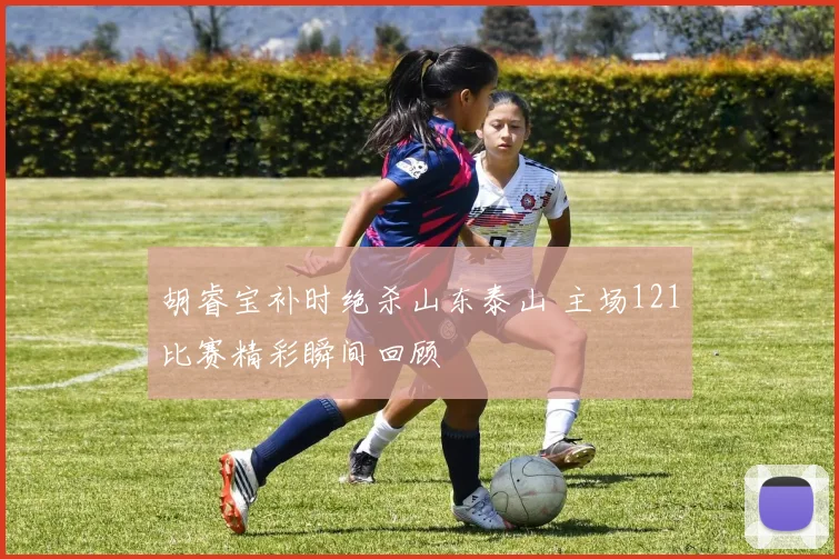 胡睿宝补时绝杀山东泰山 主场121比赛精彩瞬间回顾